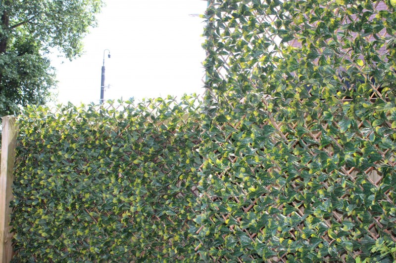 Fencing services 