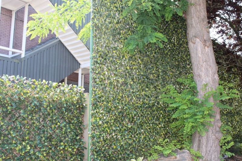 Fencing services 